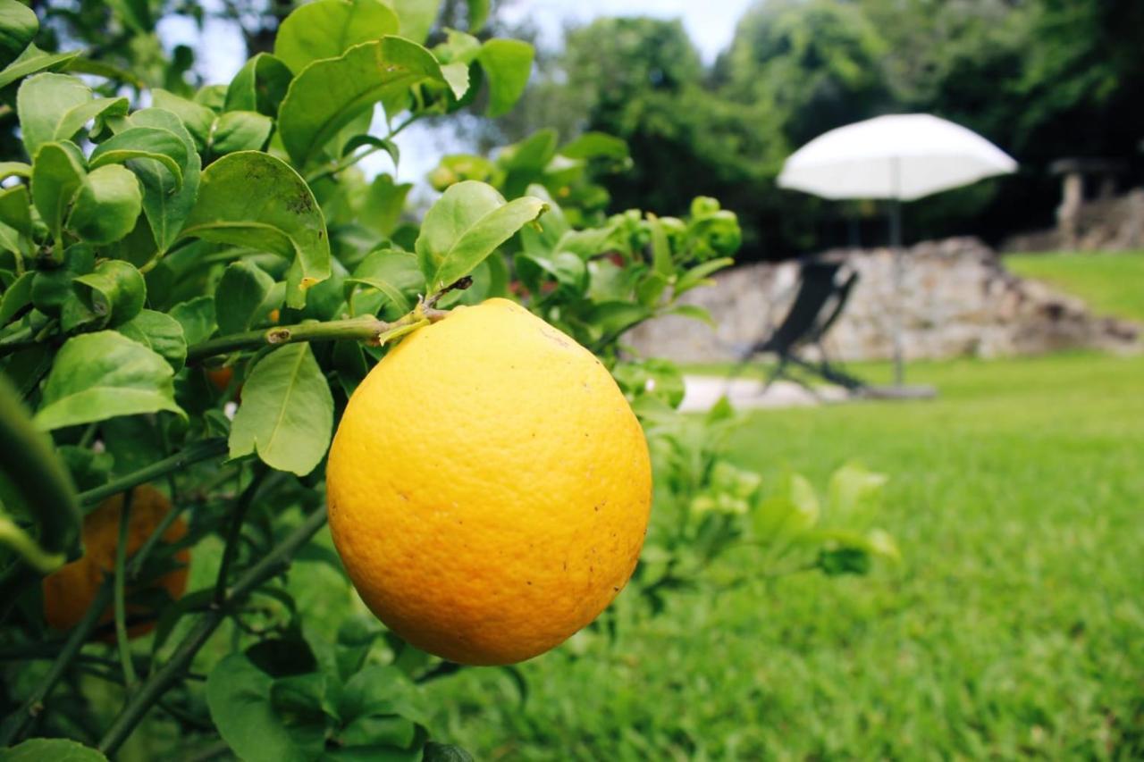 Casa De Gandra Villa Valenca Dış mekan fotoğraf